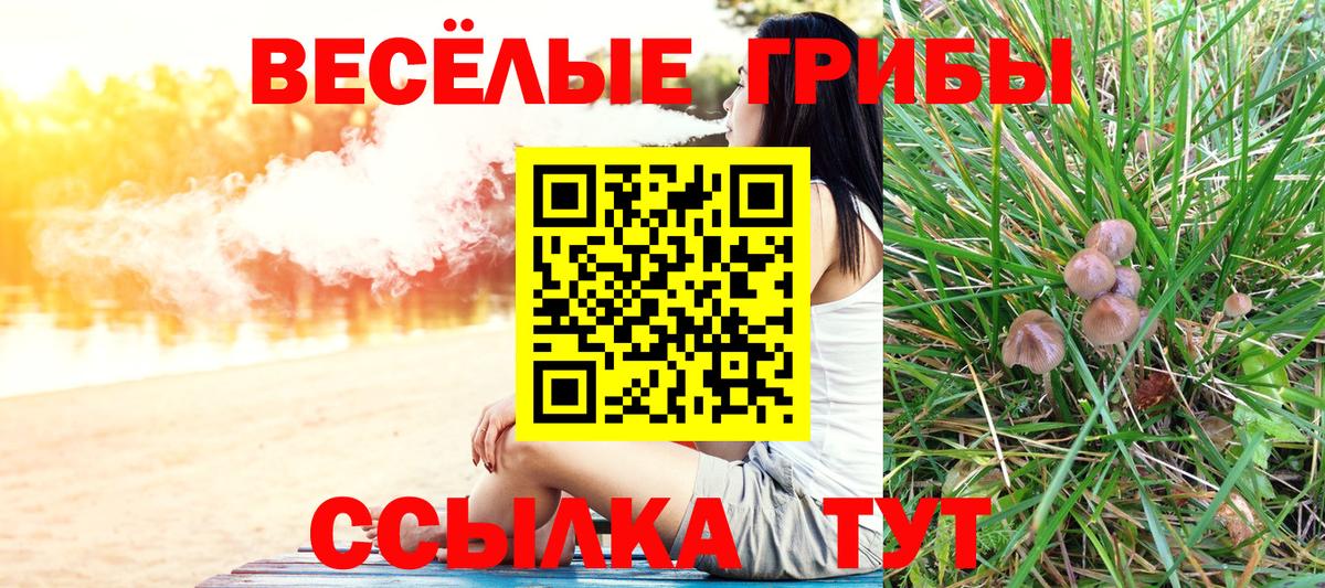 Псилоцибиновые грибы ЛСД Керчь
