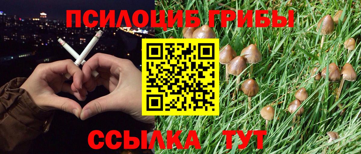 Галлюциногенные грибы мухоморы  Псилоцибиновые грибы Cubensis  Керчь  Вход с VPN 